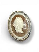 Spilla Mandile 1922 Donna Cammei  in Argento Conchiglia 2MSPCM23 - 2MSPCM23